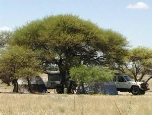 Camping in Kalahari